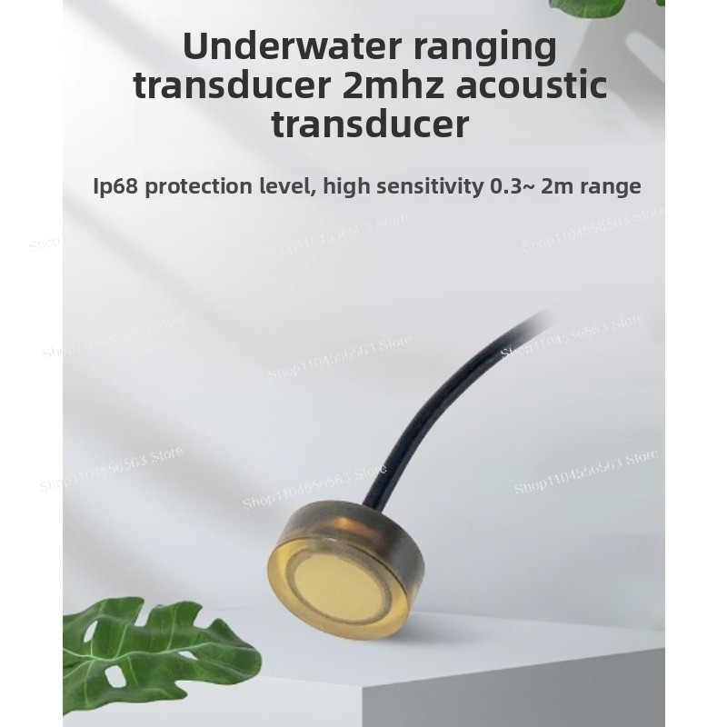 Ultrasonic Distance Sensor - Transducteur ultrasonique sous-marin DYW-LS-03A 2 MHz